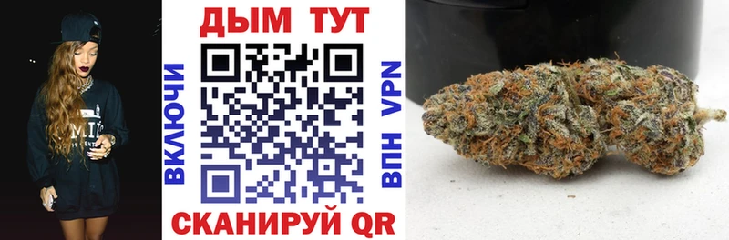 Бошки марихуана THC 21% Камызяк